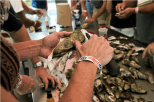 Oyster Crush 2024